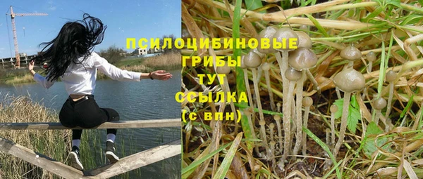 Альфа ПВП Беломорск
