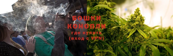 кокаин Белокуриха